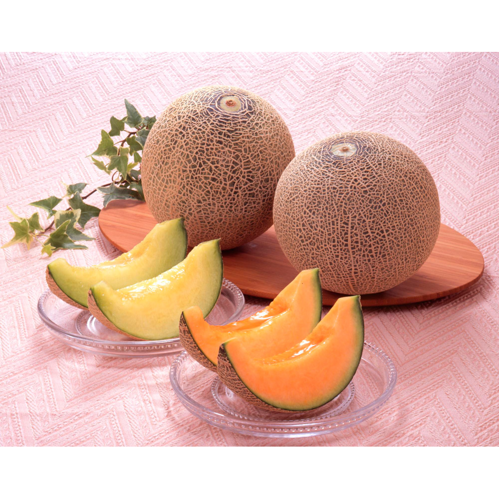 【母の日】アンデスメロン＆クインシーメロン（熊本県産又は茨城県産）