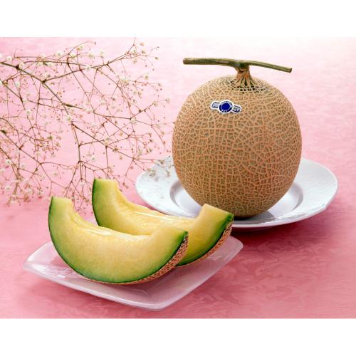 【母の日】静岡県産マスクメロン1玉