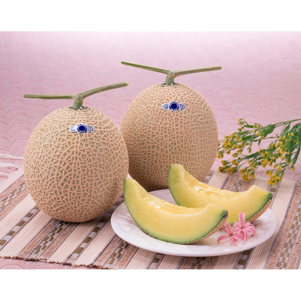 【母の日】静岡県産マスクメロン2玉