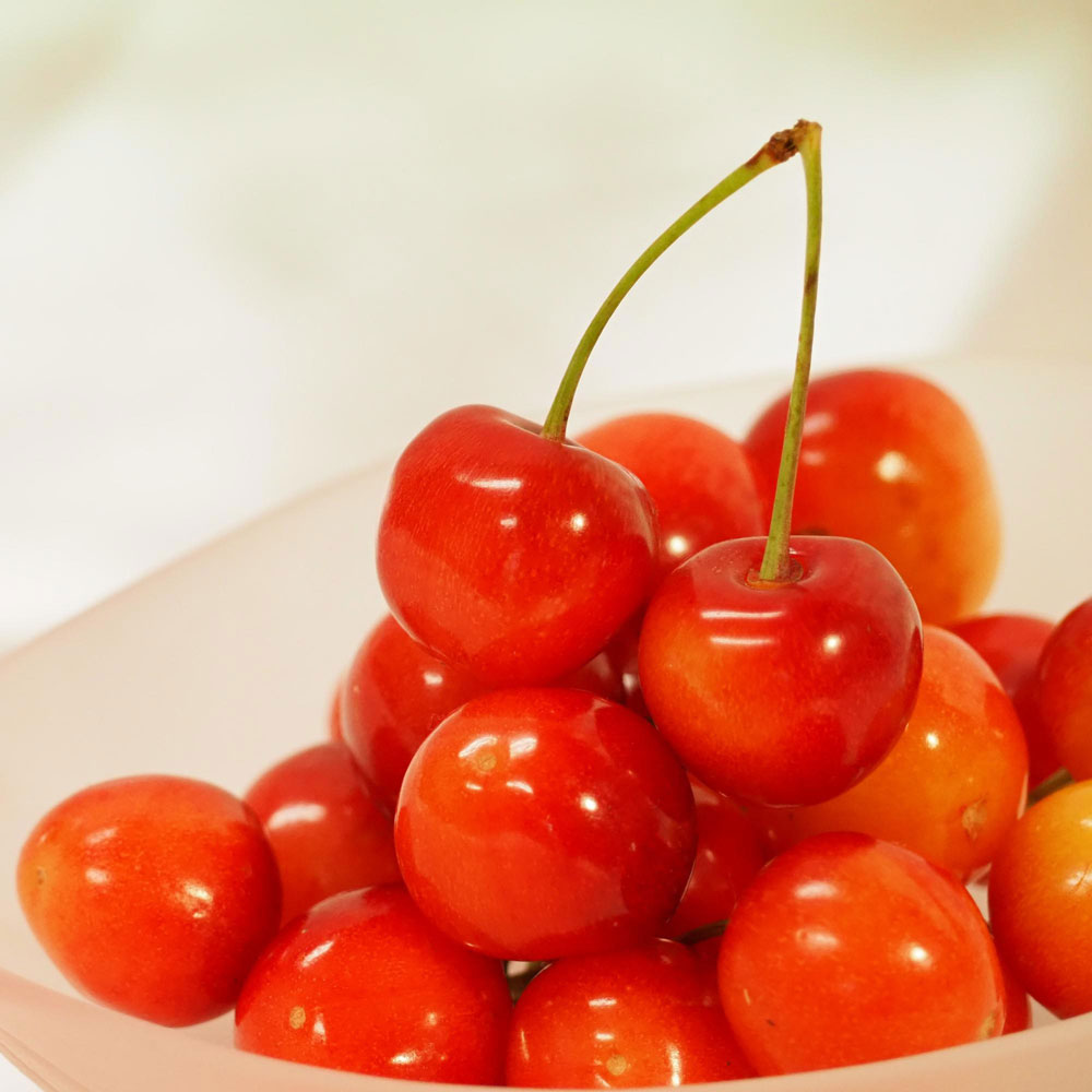 【父の日】国産さくらんぼLサイズ（山形県もしくは山梨県）