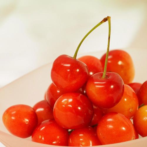 【父の日】国産さくらんぼLサイズ（山形県もしくは山梨県）