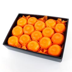 愛知県伊良湖産ハウスみかん 化粧箱入