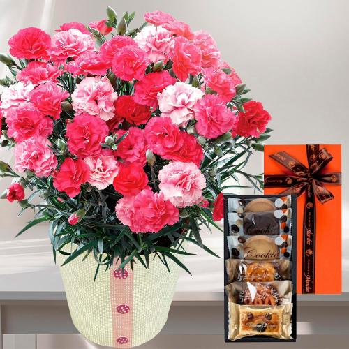 【母の日】ギフトセレクションとカーネーション（さくらもなか）