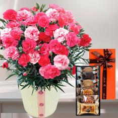 【母の日】ギフトセレクションとカーネーション（さくらもなか）