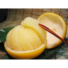 温室土佐文旦 3kg
