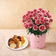 【母の日】エクセレントクラシック＆カーネーション（いちごホイップ）