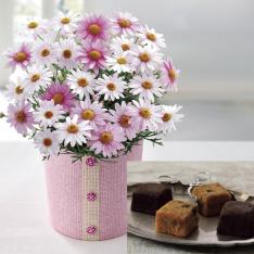 【母の日】フルーツ＆チョコレートケーキとマーガレット（さくらべーる）