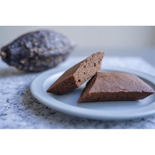 石挽きチョコフィナンシェ10個入