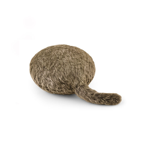 Qoobo