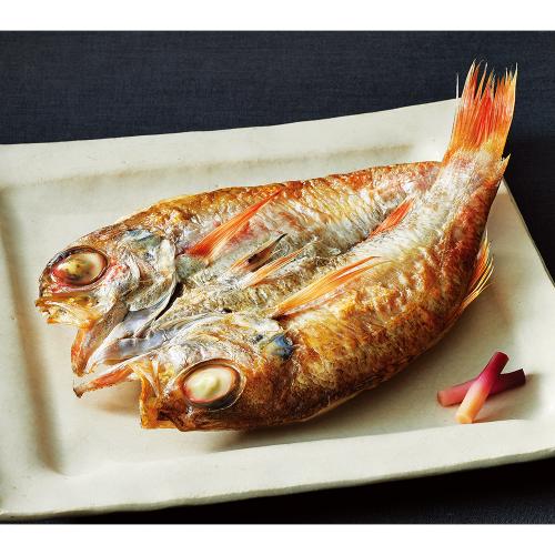 〈熱海・あをきのひもの本店〉ひもの詰合せ