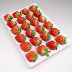 菅谷さんのとちおとめ