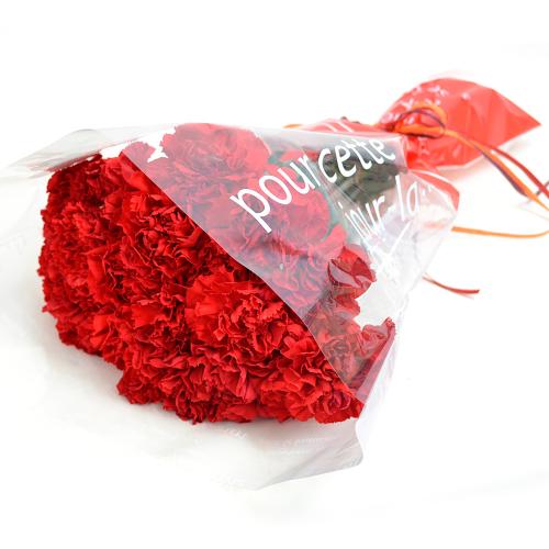 【母の日】赤いカーネーション20本の花束