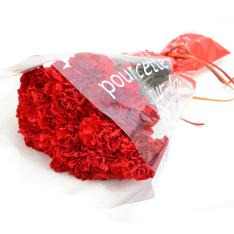 【母の日】赤いカーネーション20本の花束