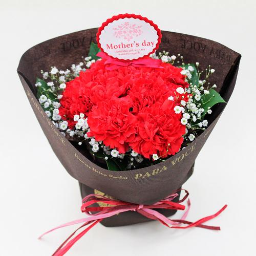 【母の日】赤いカーネーションの花束S（スタンディング）