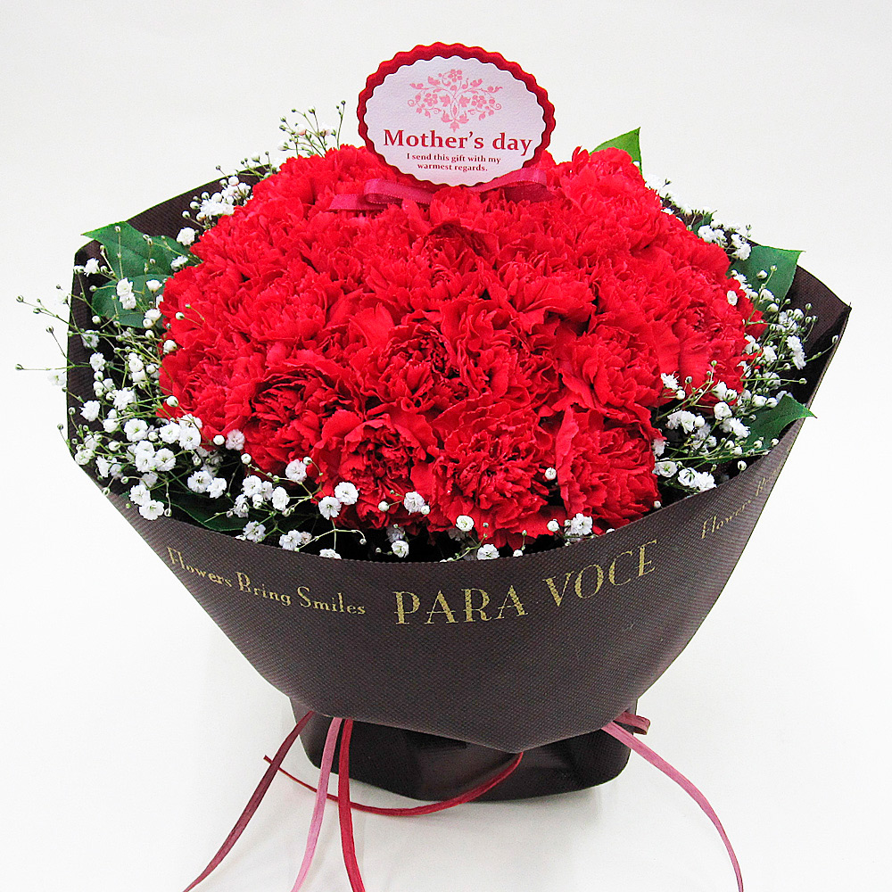 【母の日】赤いカーネーションの花束L（スタンディング）