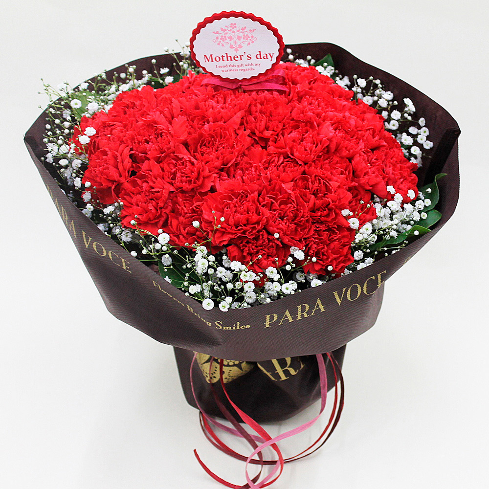 【母の日】赤いカーネーションの花束LL（スタンディング）