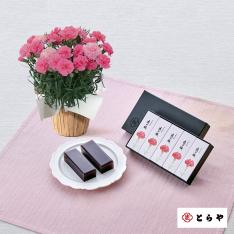 【母の日】生花 モリヒロカーネーション「ひなあられ」＆<とらや>母の日パッケージ小形羊羹5本入