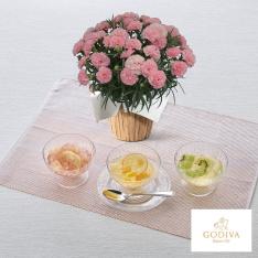 【母の日】生花 モリヒロカーネーション「ノウル」＆フルーツジュレ（3個入）