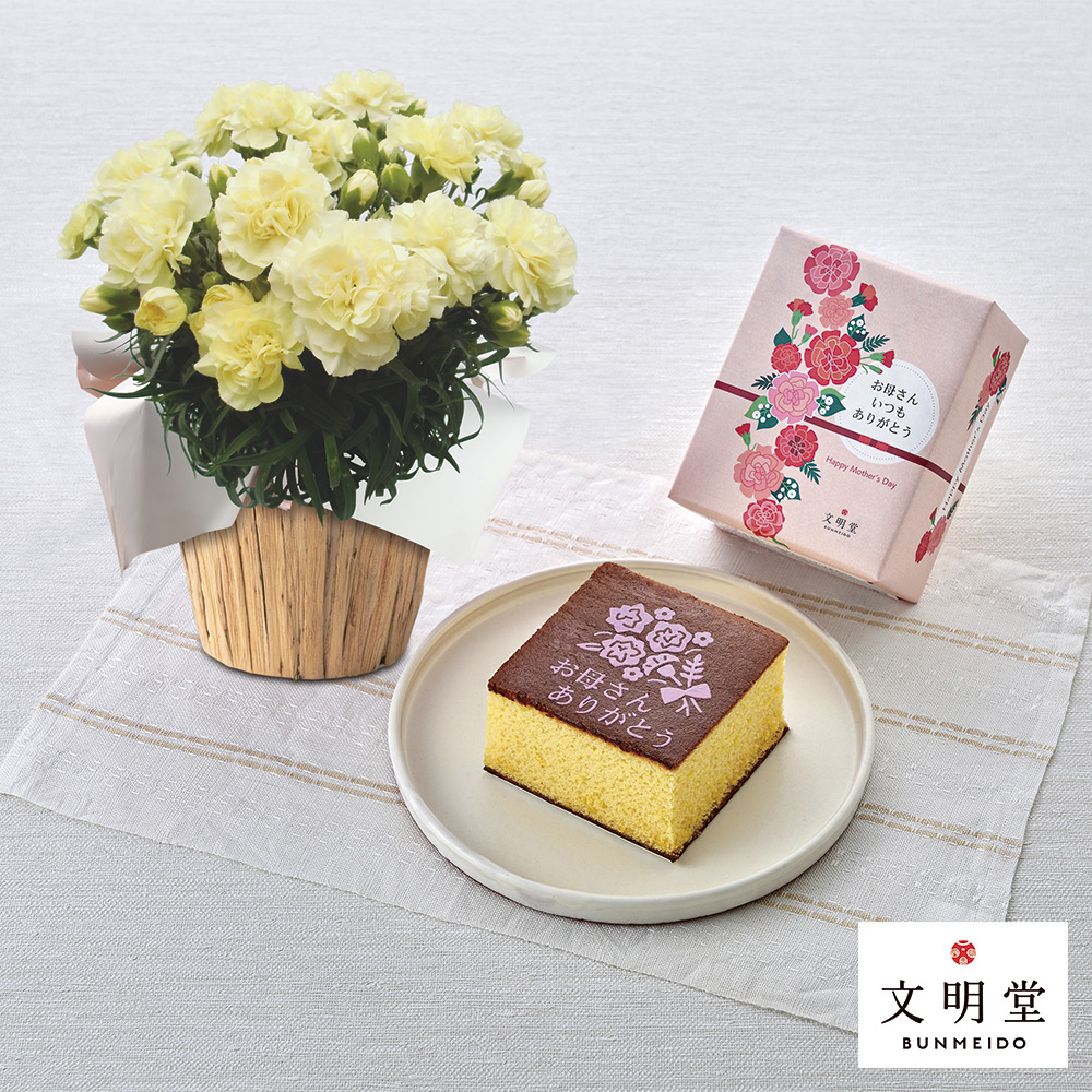 【母の日】生花 モリヒロカーネーション「ムーンティアラ」＆<文明堂東京>母の日カステラS