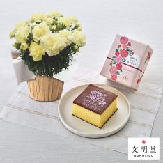 【母の日】生花 モリヒロカーネーション「ムーンティアラ」＆<文明堂東京>母の日カステラS