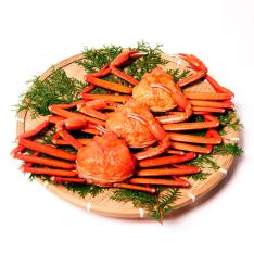 【母の日】蟹屋の釜茹で紅ずわい蟹3杯セット（冷凍・中）