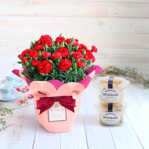 【母の日】カーネーションレッド＆蜜豆2個