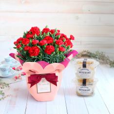 【母の日】カーネーションレッド＆蜜豆2個