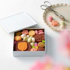 春のふきよせ＜チューリップ＞ 小缶