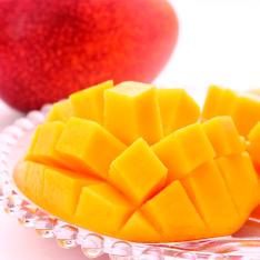 【母の日】宮崎産アップルマンゴー2Lとカーネーション（造花）