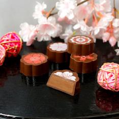 【母の日】桜花紋