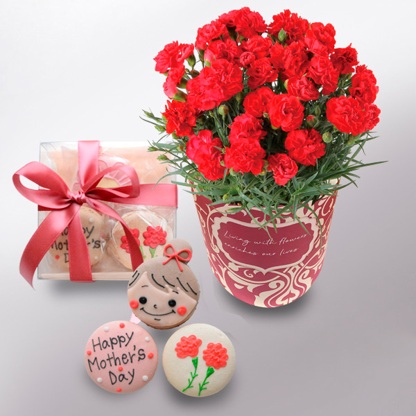 【母の日】カーネーション＆母の日マカロンセット