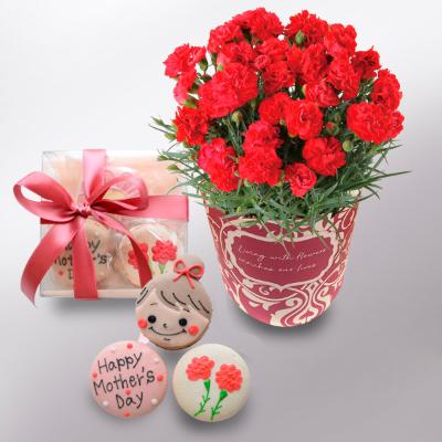 フラワー | リビング・ホビー・スポーツ | 高島屋オンラインストア