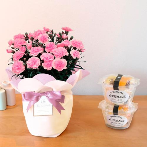 【母の日】生花カーネーションピンク＆蜜豆2個