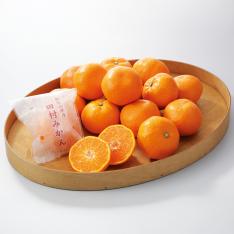 【最適な時期に収穫し、順次発送予定】〈畑伊農園〉田村みかん（個包装）