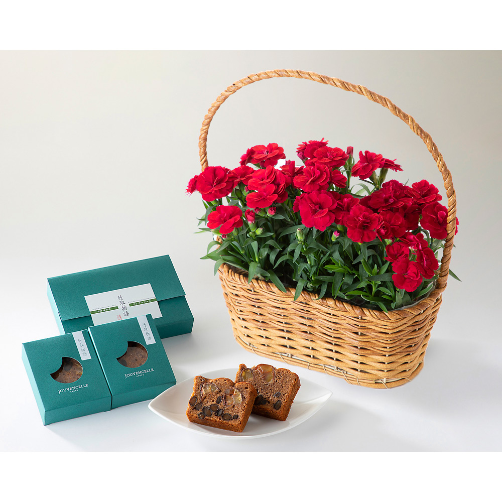 【母の日】ガーデンカーネーション 3株寄せカゴ（オスカー・チェリー）＆竹取物語（姫）2個入りセット