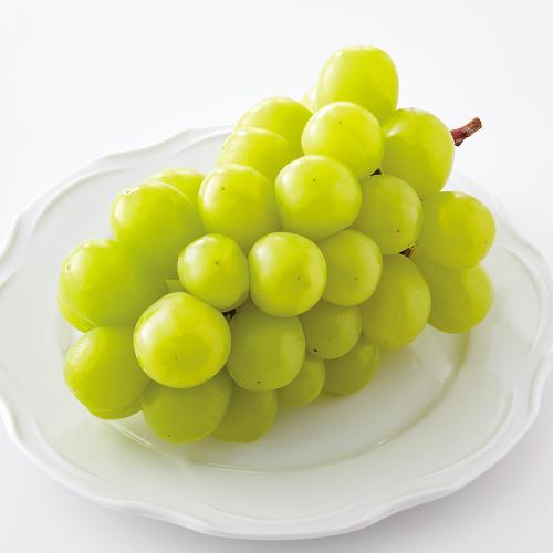 【最適な時期に収穫し、順次発送予定】シャインマスカット