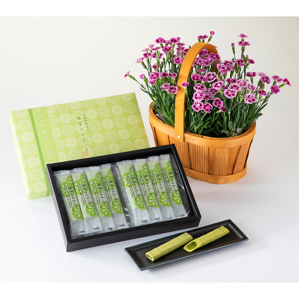 【母の日】ガーデンカーネーション 3株木製バスケット入り（ピンクキッス）＆抹茶コルネッタ16本入りセット