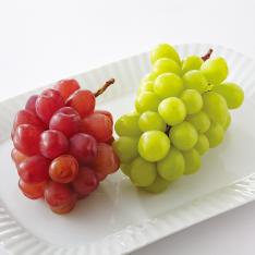 【最適な時期に収穫し、順次発送予定】富士の輝（ブラックシャインマスカット）＆シャインマスカット