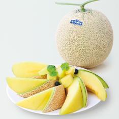 〈高知県　西島園芸団地〉マスクメロン【最適な時期に収穫し、順次発送予定】