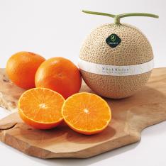 【最適な時期に収穫し、順次発送予定】〈日本橋　千疋屋総本店〉マスクメロン＆紅まどんな