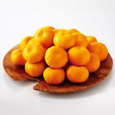 【最適な時期に収穫し、順次発送予定】〈日本橋　千疋屋総本店〉蜜柑詰合せ