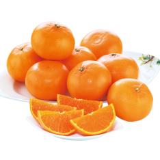 佐賀県産 せとか