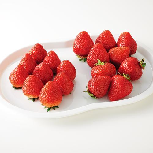 【最適な時期に収穫し、順次発送予定】〈栃木・福岡〉とちあいか・あまおう詰合せ