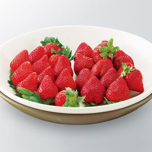 【最適な時期に収穫し、順次発送予定】〈栃木・福岡〉とちあいか・あまおう詰合せ