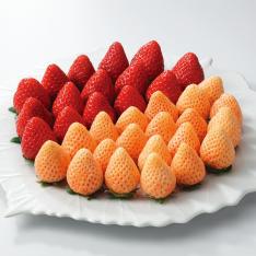 【最適な時期に収穫し、順次発送予定】〈奈良県産〉紅白いちご