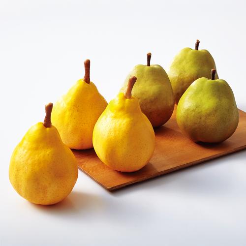 【最適な時期に収穫し、順次発送予定】〈新潟・山形〉ル・レクチェ＆ラ・フランス