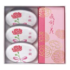 【母の日】感謝の花・本蕨（母の日）詰合せ