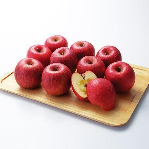 【最適な時期に収穫し、順次発送予定】〈晴富〉長野県志賀高原産サンふじりんご