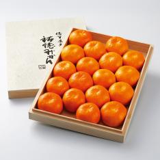 【最適な時期に収穫し、順次発送予定】〈JAさが　みどり地区〉祐徳木箱みかん