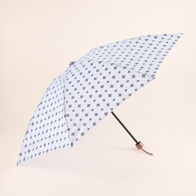 空港限定福井洋傘イイダ傘　高級傘くま　テディベア　限定傘　レア　ダッフィ 空港限定福井洋傘イイダ傘 高級傘くま テディベア 限定傘 レア